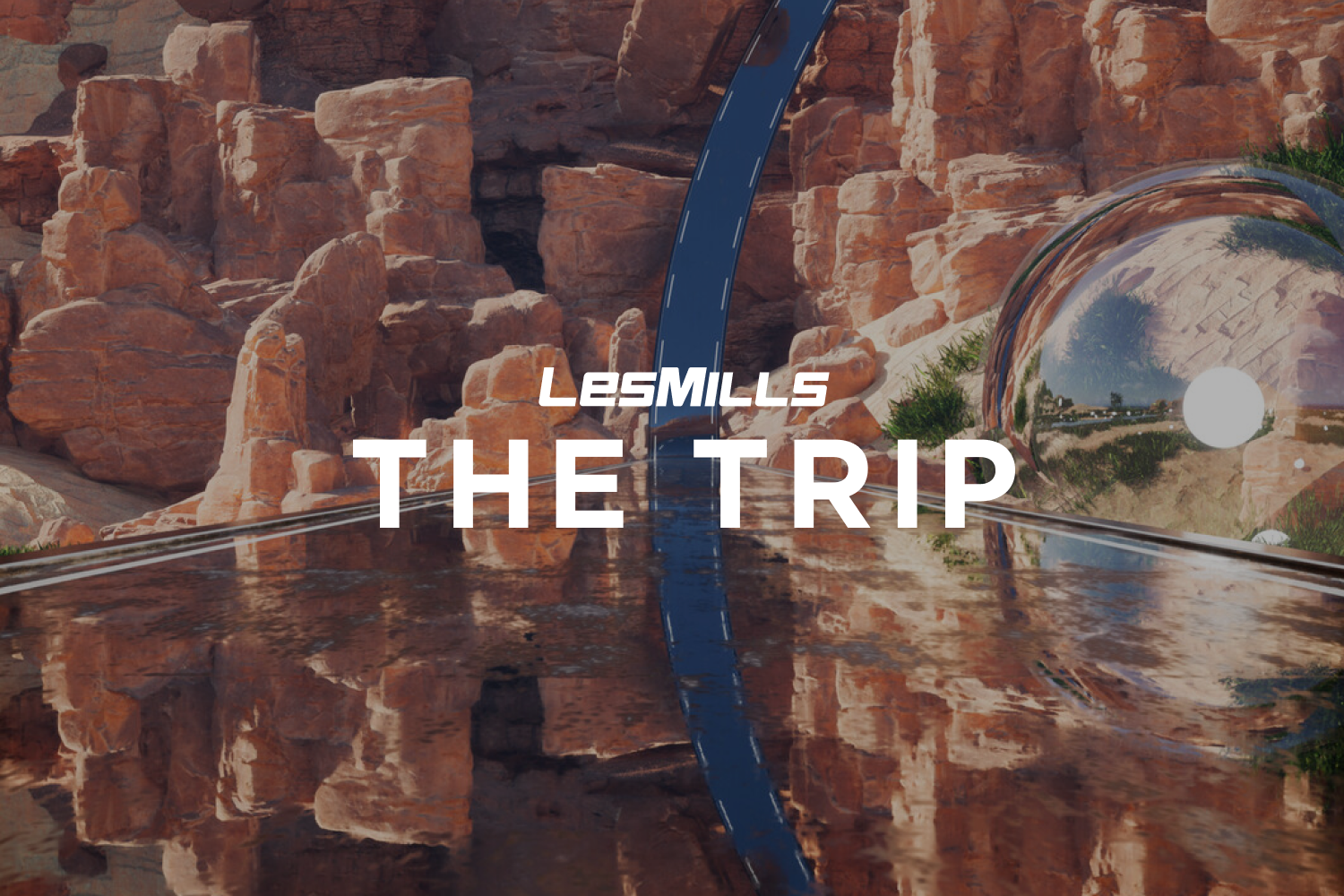 LES MILLS THE TRIP