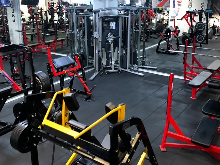 Muscle Factory