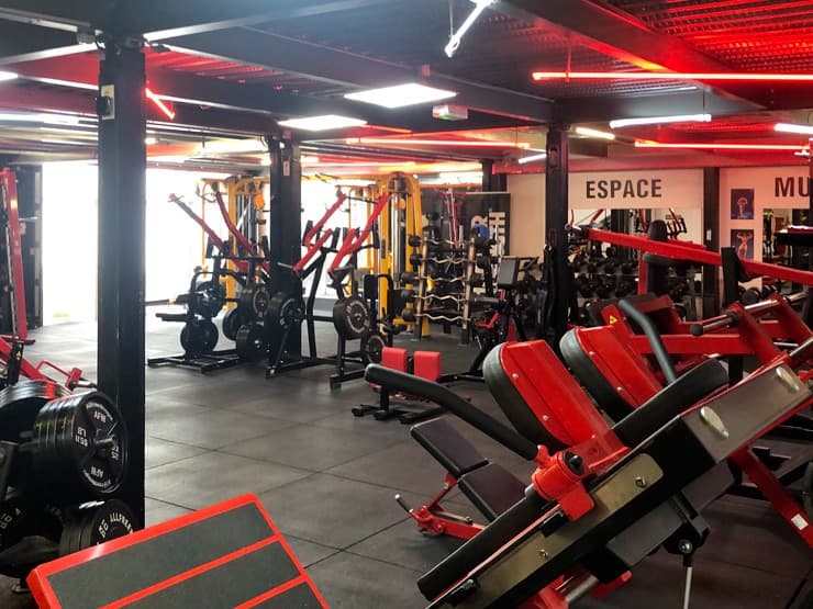 Muscle Factory