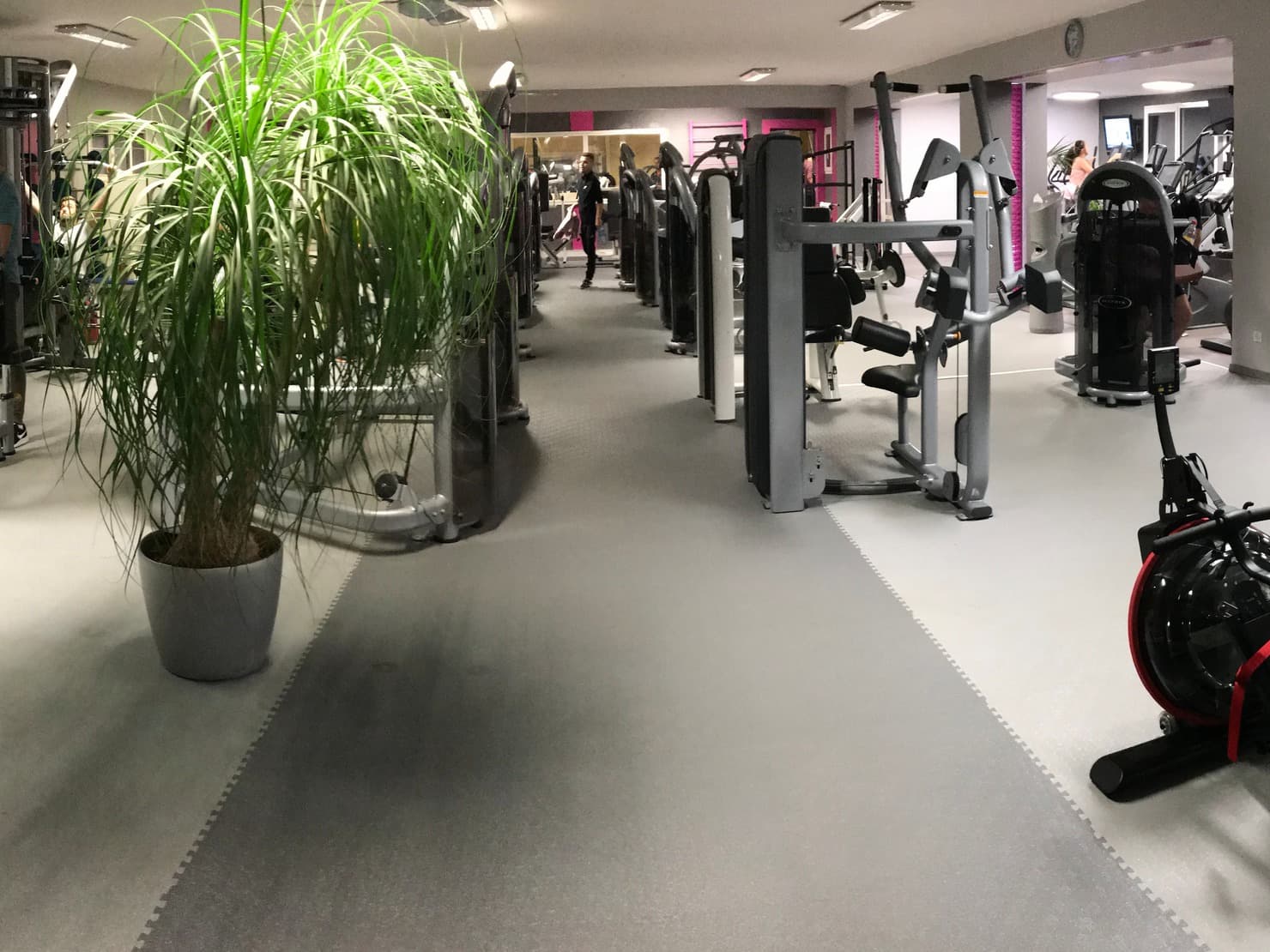 California Gym Tarifs, Avis, Horaires, Offre d'essai