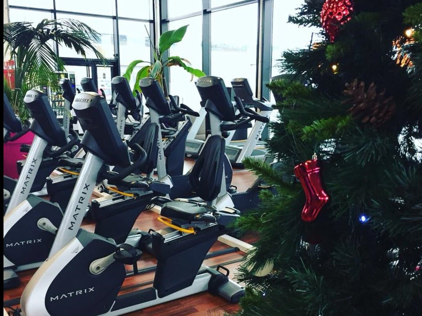 Vanilla Fitness by 35sportclub