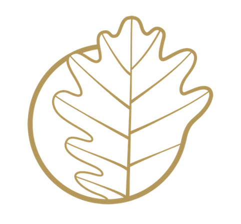 Icone App Leaf Circle Lyon 6