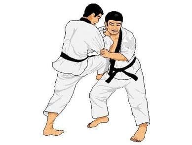 Nihon Taï Jitsu